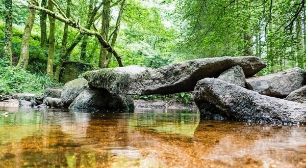 Pourquoi choisir la Brocéliande pour des vacances en camping ?