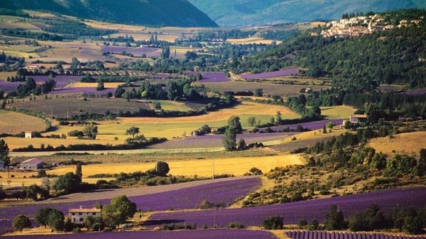Top 10 des meilleures destinations de camping dans la Drôme